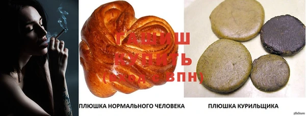 гидропоника Алзамай