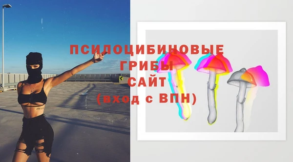 гидропоника Алзамай