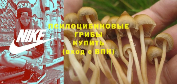 кокаин Алексеевка