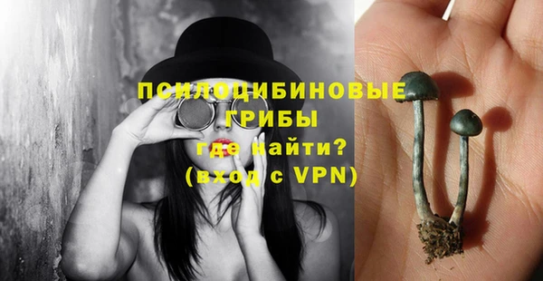 a pvp Алексин