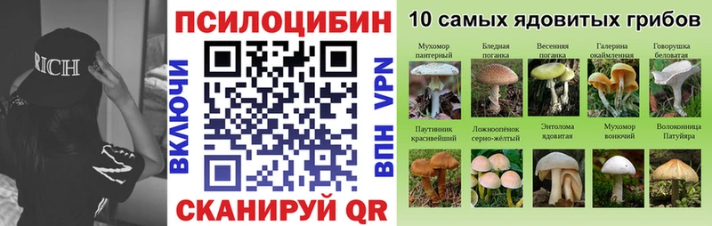мега ТОР  Гвардейск  Галлюциногенные грибы мицелий  как найти закладки 